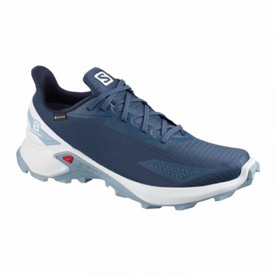 Tenis Para Trail Running Salomon ALPHACROSS BLAST GTX Hombre Azul Marino Blancos | MX-463IOZU