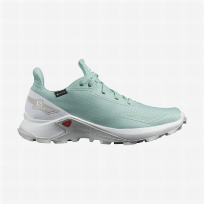 Tenis Para Trail Running Salomon ALPHACROSS BLAST GTX W Mujer Turquesa Blancos | MX-541HFPM