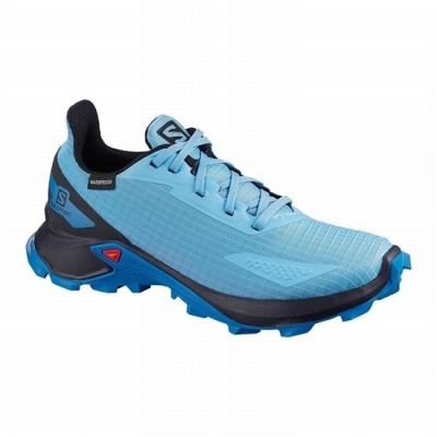 Tenis Para Trail Running Salomon ALPHACROSS BLAST CLIMASALOMON WATERPROOF Niños Azules Azul Marino | MX-813VMAC