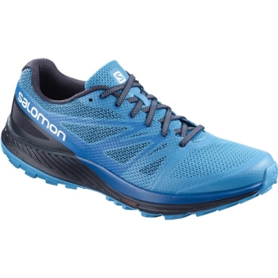 Tenis Para Trail Running Salomon SENSE ESE Hombre Azules Azul Marino | MX-081ECJS