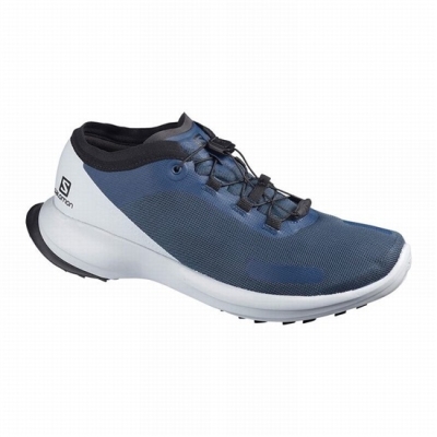 Tenis Para Trail Running Salomon SENSE FEEL Hombre Azules | MX-307SDEA