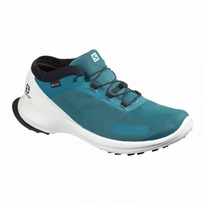 Tenis Para Trail Running Salomon SENSE FEEL GTX Hombre Azules | MX-641YRHZ