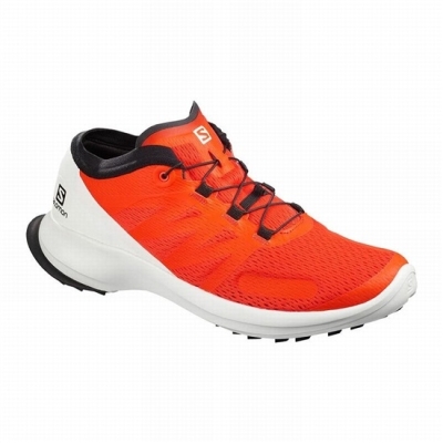 Tenis Para Trail Running Salomon SENSE FLOW Hombre Naranjas | MX-712HYGL