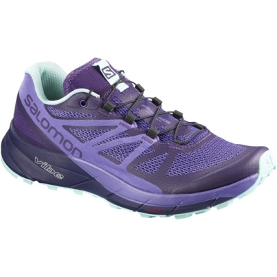 Tenis Para Trail Running Salomon SENSE RIDE W Mujer Lavanda | MX-369DIJC