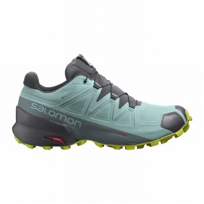 Tenis Para Trail Running Salomon SPEEDCROSS 5 GORE-TEX Mujer Turquesa Grises Oscuro | MX-572WGRP