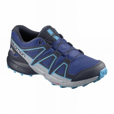 Tenis Para Trail Running Salomon SPEEDCROSS CLIMASALOMON WATERPROOF Niños Azul Marino Azules | MX-749DKVP