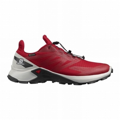 Tenis Para Trail Running Salomon SUPERCROSS BLAST GTX Hombre Rojos | MX-251OPWC