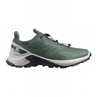 Tenis Para Trail Running Salomon SUPERCROSS BLAST GTX Hombre Verdes | MX-256BZNW