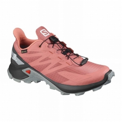 Tenis Para Trail Running Salomon SUPERCROSS BLAST GTX W Mujer Rojos Oscuro | MX-651CIXH