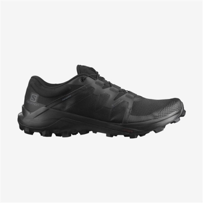 Tenis Para Trail Running Salomon WILDCROSS GTX Hombre Negros | MX-197UQXY