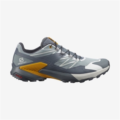 Tenis Para Trail Running Salomon WINGS SKY Hombre Slategray | MX-426FBTP