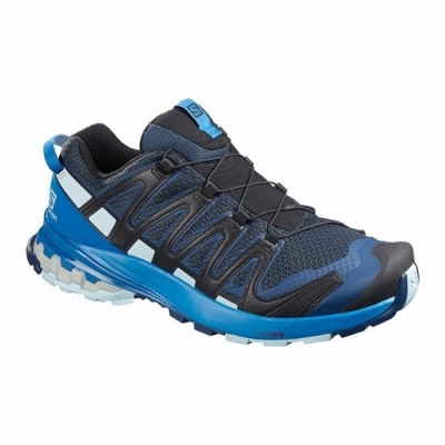 Tenis Para Trail Running Salomon XA PRO 3D V8 Hombre Azul Rey | MX-103NICK