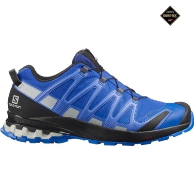 Tenis Para Trail Running Salomon XA PRO 3D V8 GORE-TEX Hombre Azul Marino | MX-186UKSV