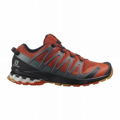 Tenis Para Trail Running Salomon XA PRO 3D V8 Hombre Negros | MX-206TFQM