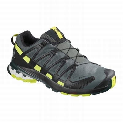 Tenis Para Trail Running Salomon XA PRO 3D V8 GORE-TEX Hombre Negros Verdes Claro | MX-370VIKF