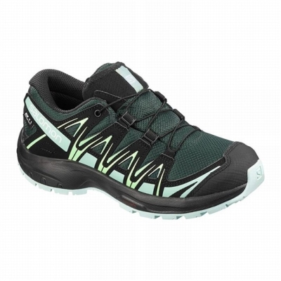 Tenis Para Trail Running Salomon XA PRO 3D CLIMASALOMON WATERPROOF Niños Verdes Negros | MX-493YVLW