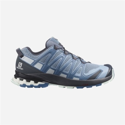 Tenis Para Trail Running Salomon XA PRO 3D V8 Mujer Azules | MX-542POXK