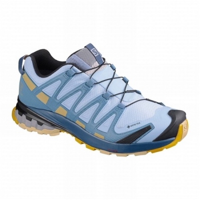 Tenis Para Trail Running Salomon XA PRO 3D V8 GORE-TEX Mujer Azules | MX-694MEDA