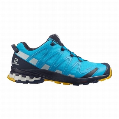 Tenis Para Trail Running Salomon XA PRO 3D V8 GORE-TEX Hombre Azules | MX-723ETFB