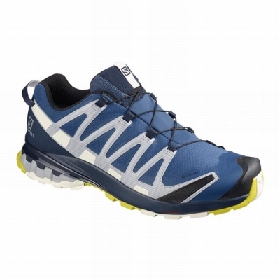 Tenis Para Trail Running Salomon XA PRO 3D V8 GORE-TEX Hombre Azul Marino | MX-763VFEP