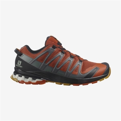 Tenis Para Trail Running Salomon XA PRO 3D V8 Hombre Naranjas | MX-821HONZ