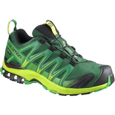 Tenis Para Trail Running Salomon XA PRO 3D GTX Hombre Verdes Oscuro | MX-835SBVT