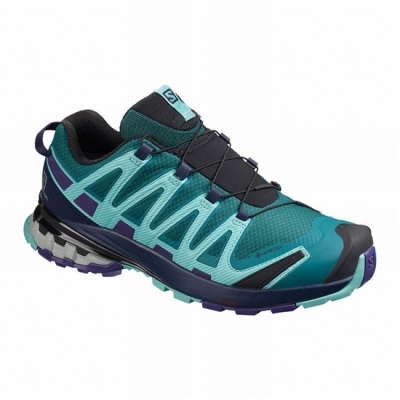 Tenis Para Trail Running Salomon XA PRO 3D V8 GORE-TEX Mujer Azules | MX-841SRNH