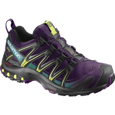 Tenis Para Trail Running Salomon XA PRO 3D GTX W Mujer Morados Negros | MX-895ICMB