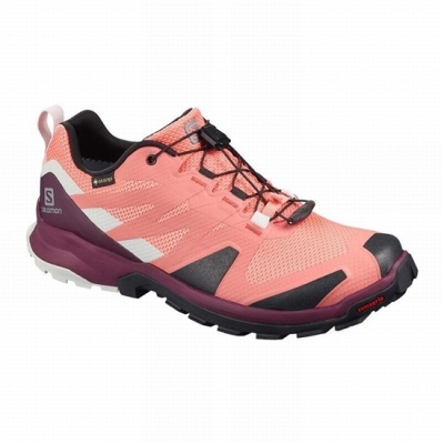 Tenis Para Trail Running Salomon XA ROGG GTX W Mujer Coral Negros | MX-352EZHF