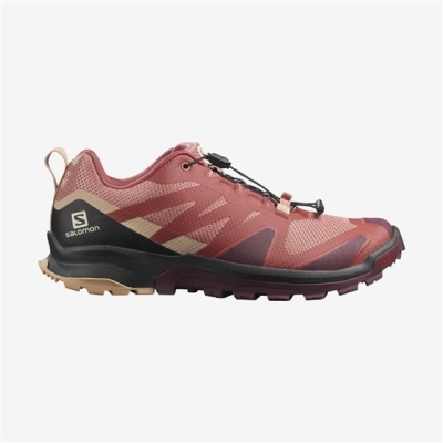 Tenis Para Trail Running Salomon XA ROGG Mujer Multicolor | MX-403MLPZ