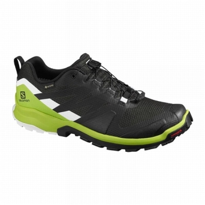 Tenis Para Trail Running Salomon XA ROGG GTX Hombre Rosas | MX-571YTWQ