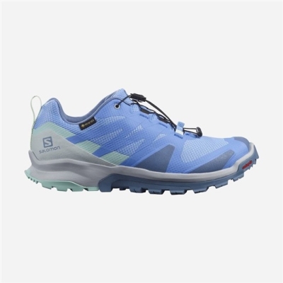 Tenis Para Trail Running Salomon XA ROGG GTX W Mujer Azules | MX-920HZOX