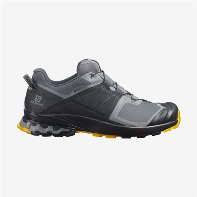 Tenis Para Trail Running Salomon XA WILD GORE-TEX Hombre Grises | MX-308PCAH