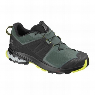 Tenis Para Trail Running Salomon XA WILD GORE-TEX Hombre Negros Rosas | MX-341KFDQ