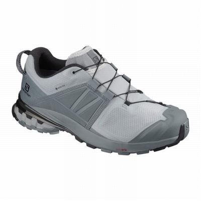 Tenis Para Trail Running Salomon XA WILD GORE-TEX Hombre Grises | MX-427NZTE