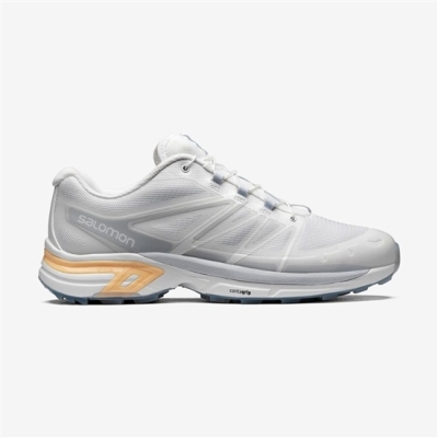 Tenis Salomon XT-WINGS 2 Hombre Blancos | MX-782MUSQ