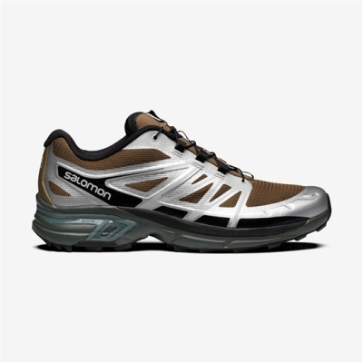 Tenis Salomon XT-WINGS 2 Hombre Plateados | MX-812VWIQ