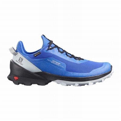 Tenis Senderismo Salomon CROSS OVER GORE-TEX Hombre Azules Negros | MX-514ZNKV