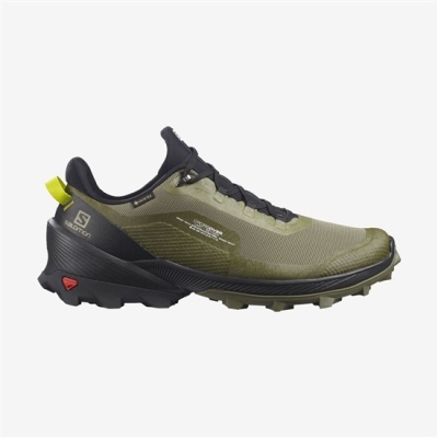 Tenis Senderismo Salomon CROSS OVER GTX Hombre Verdes | MX-180ORGP