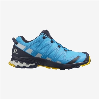 Tenis Senderismo Salomon XA PRO 3D V8 GORE-TEX Hombre Azules | MX-054LEYM