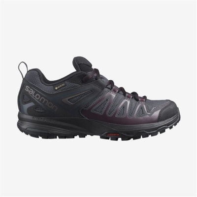 Tenis Senderismo Salomon X CREST GORE-TEX Mujer Negros | MX-392DMHI