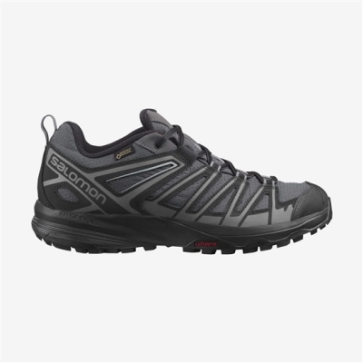 Tenis Senderismo Salomon X CREST GORE-TEX Hombre Negros | MX-578GWPS